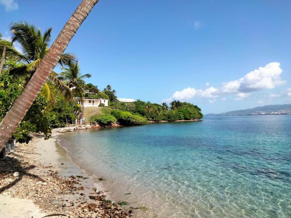Villa Nautilia, Vue Mer, Proche Plage 莱特鲁瓦西莱 外观 照片